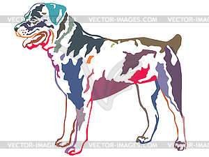 Colorful decorative standing portrait of rotweiler - vector image