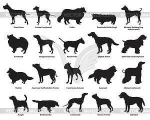 Set of dogs silhouettes- - vector clip art