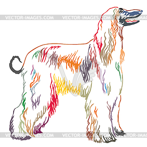 Colorful decorative standing portrait of Afghan - vector clipart