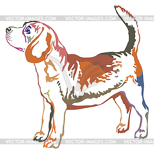 Colorful decorative standing portrait of beagle - color vector clipart