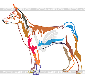 Colorful decorative standing portrait of Basenji - vector image