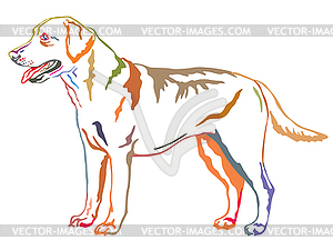 Colorful decorative standing portrait of Labrador - vector clipart