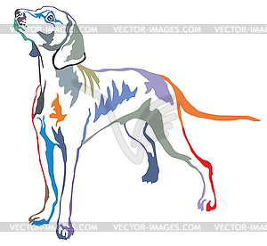 Colorful decorative standing portrait of - vector clipart