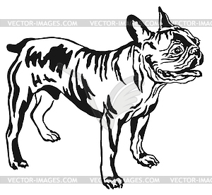 Decorative standing portrait of French Bulldog - vector clip art