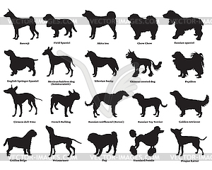 Set of dogs silhouettes- - vector image