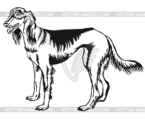 Decorative standing portrait of Persian Greyhound - vector image