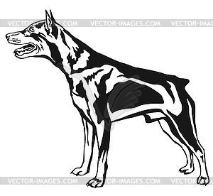 Decorative standing portrait of dog Miniature - vector clipart / vector image