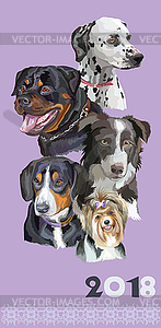 Postcard with dogs of different breeds- - vector clip art