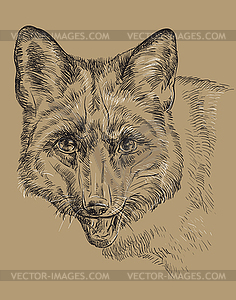 Monochrome Fox hand drawing portrait - vector image