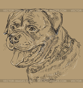 Monochrome rottweiler hand drawing portrait - vector clipart