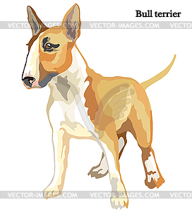 Bull terrier - vector clip art