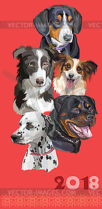 Postcard with dogs of different breeds- - vector image