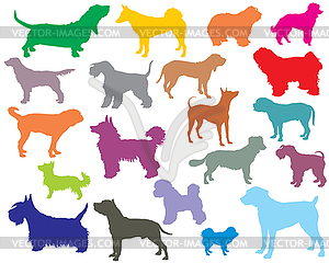 Set of colorful dogs silhouettes- - vector clipart