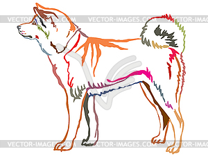 Colorful decorative standing portrait of Akita Inu - vector clip art