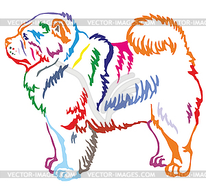 Colorful decorative standing portrait of Chow Chow - vector image