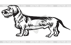 Decorative standing portrait of Dachshund - vector clip art