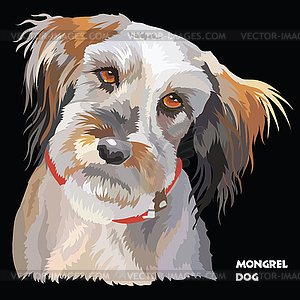 Fluffy dog colorful portrait - vector clipart