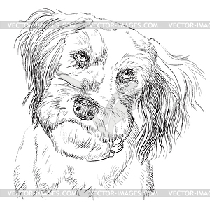 Fluffy dog hand drawing portrait - vector clip art