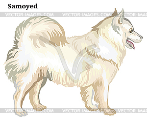 Colored decorative standing portrait of dog - vector clip art