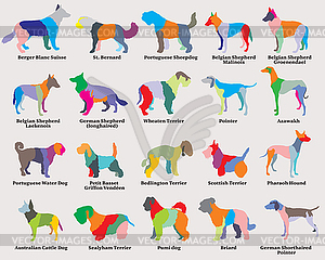 Set of colorful mosaic dogs silhouettes- - vector clipart