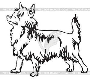 Decorative standing portrait of Australian Terrier - vector image