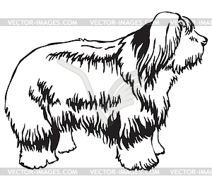 Decorative standing portrait of Old English Sheepdo - vector image