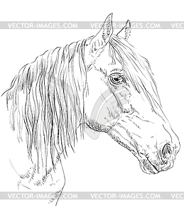 Лошадь портрет- - изображение в векторе
