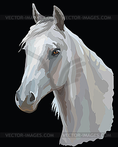 Colored Horse portrait- - vector image