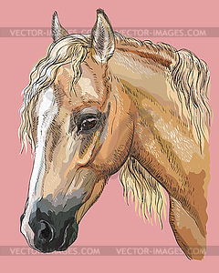 Colorful Horse portrait- - vector clipart