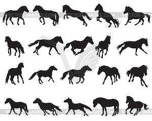 Set of horses silhouettes- - vector image