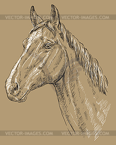Horse portrait-1 on brown background - vector clip art