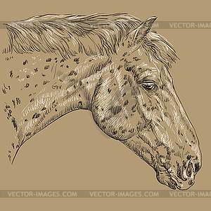 Horse portrait-2 on brown background - royalty-free vector clipart