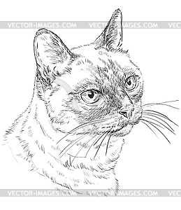 Монохромный тайский кот - векторный клипарт / векторное изображение