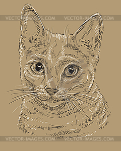 Russian Blue Cat on brown background - vector clip art