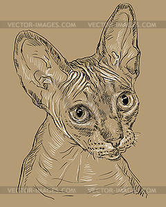 Кошка сфинкса на коричневом фоне - векторное графическое изображение