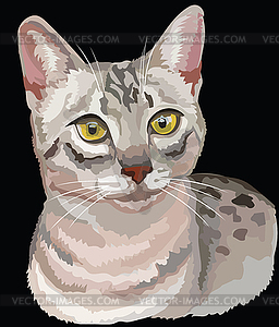 Colored Egyptian Mau Cat - vector image