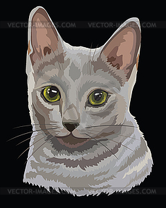 Colored Russian Blue Cat - vector image