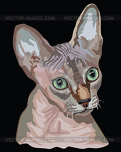 Цветная кошка сфинкса - клипарт в формате EPS