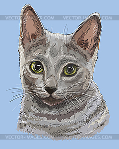 Colorful Russian Blue Cat - vector image