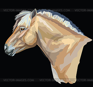 Colored Norwegian fjord pony - vector clipart