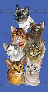 Postcard with cats- - vector image