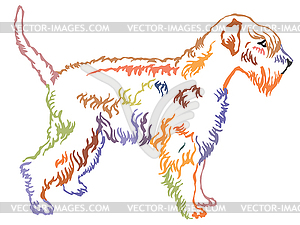 Colorful decorative standing portrait of Soft-coate - vector image
