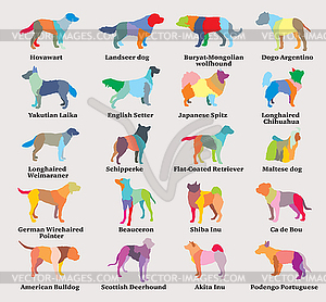 Set of colorful mosaic dogs silhouettes- - vector clipart