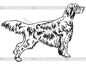 Decorative standing portrait of English Setter - vector clipart