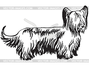 Decorative standing portrait of Skye Terrier - vector image