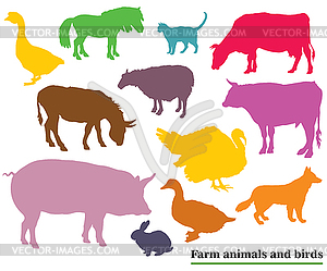 Colorful farm animals and birds silhouettes - color vector clipart