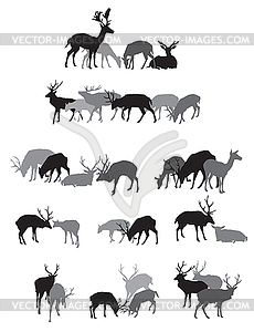 Groups of deers silhouettes - vector clipart