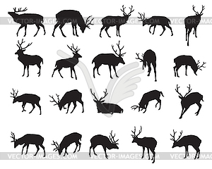 Set of deer silhouettes- - vector clipart