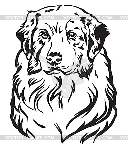 Decorative portrait of Australian shepherd - vector image