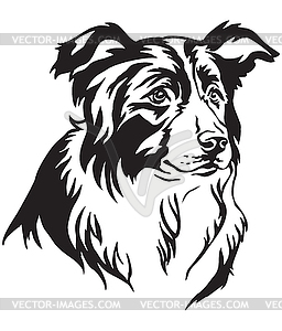 Decorative portrait of Border Collie - vector clip art